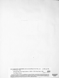 Stromatinia cepivora image